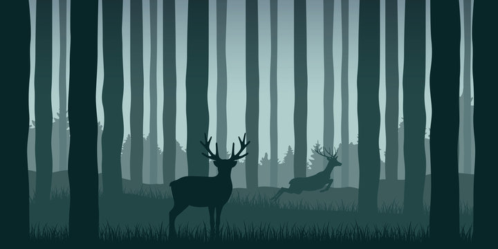 wildlife elk in green forest nature landscape vector illustration EPS10