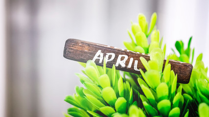 Block with the inscription April. Beautiful floral nature spring abstract background. Spring concept