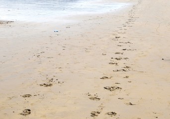 Footprints trail along a sandy beach, leading toward the ocean. The scene captures a peaceful shoreline with gentle waves approaching the sand.