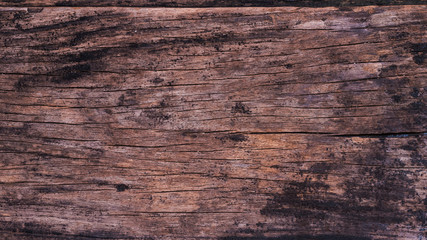 Fototapeta premium Dark rustic wood texture with natural lines. Rough panel surface for vintage theme backdrop design.