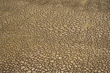 Naked feet walking on dry and crack soil background,concept of Drought and natural disaster,Global warming