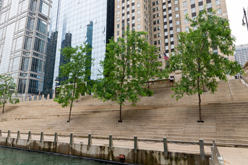 Obraz na płótnie Canvas Trees planted on the banks along the river Chicago