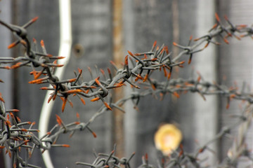 Autumn fishing on the Kola Peninsula.