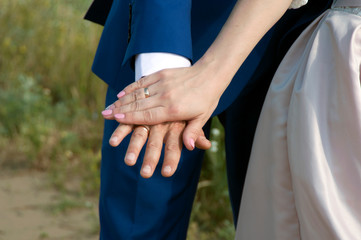 Hands of the bride and groom in wedding rings.