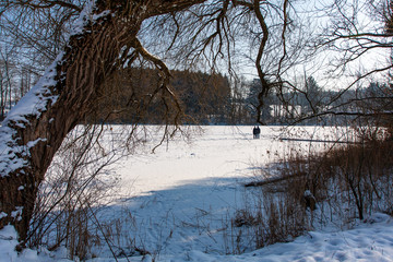 Gefrorener See in Oberschwaben