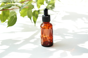 Bottles of aromatic oil with petals on the background. Basics of aromatherapy.  Botanical skin care at home Spa treatment. Top view. 