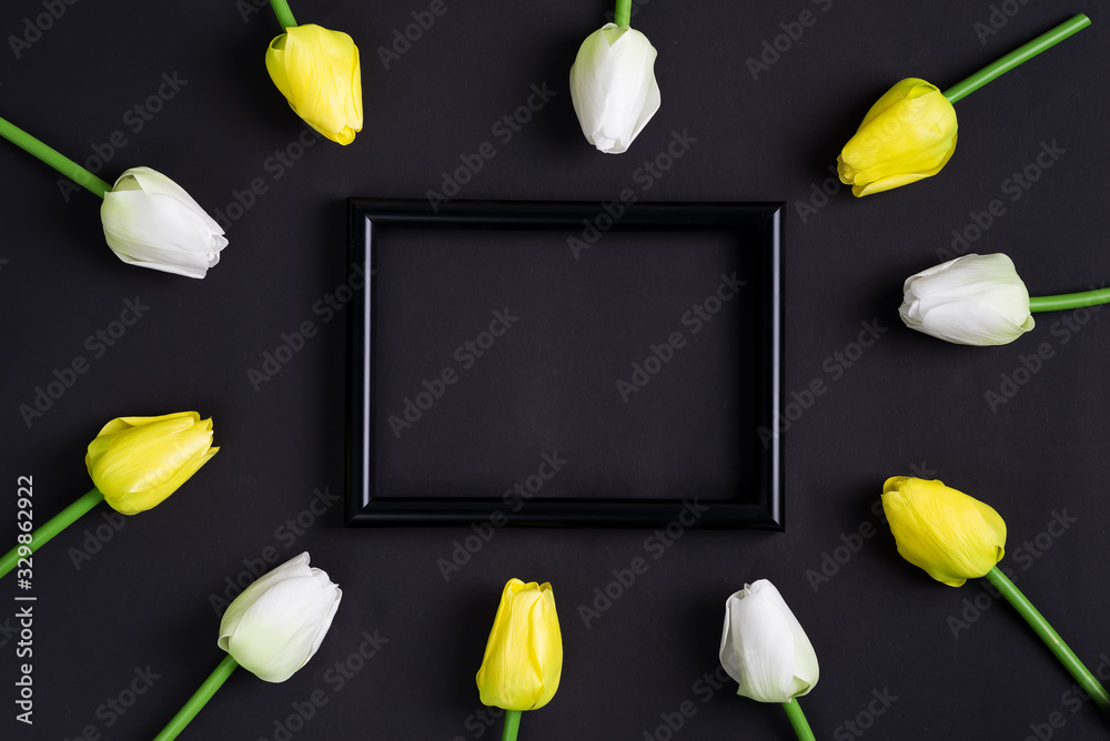 Wall mural fresh white and yellow tulips flowers with black photo frame on a black background. top view.