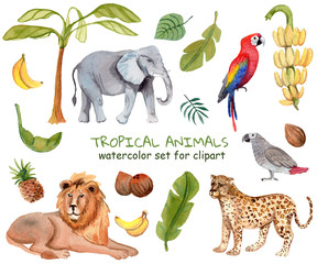 Watercolor set for clipart. Tropical animals isolated on white background.