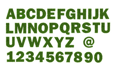 Calligraphy from grass on a white background By using 3D program to create images, illustration