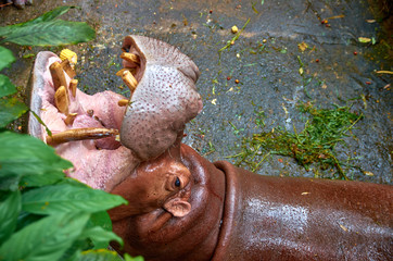 This would be a mouth to eat honey