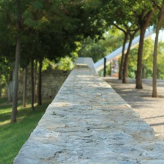 camino en el parque