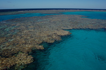 Obraz premium barriera corallina