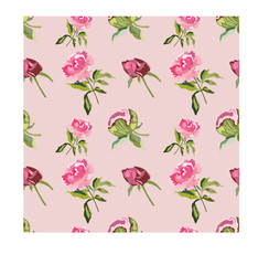 seamless pattern with peony flowers in pink