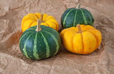 Colorful autumn harvest