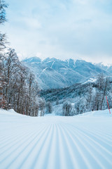 Ready ski piste after snow cat and snow grooming with velvet texture with nobody on it with great...