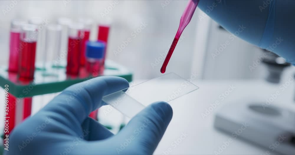 Wall mural close- up of scientist studying sample under microscope in the laboratory.