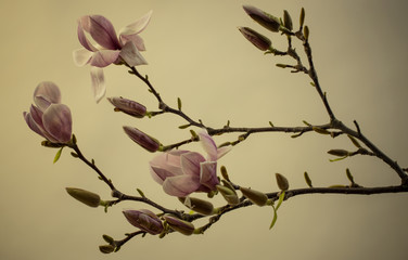 Frühling