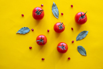 tomatoes on yellow background
