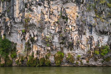 Guilin, China - May 10, 2010: Along Li River. Closeup of gray-brown-black wall of cliff of karst mountain vertically in green water. Some hanging green vegetation and sheets of rock.