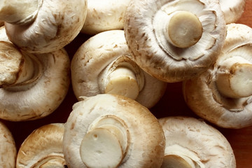 Fresh mushroommushrooms mushrooms close-up, background