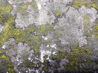 Rock Texture