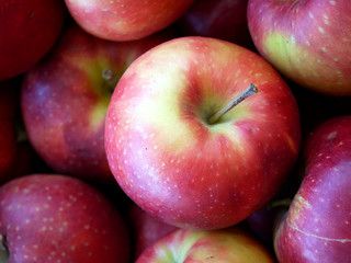 Fototapeta na wymiar Apples grown naturally in a traditional ecological way. Aromatic and juicy fruit from the orchard.