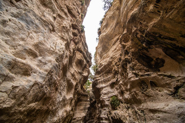 Avakas Gorge in Cyprus. Little river in foreground, sunlit rocks are in background