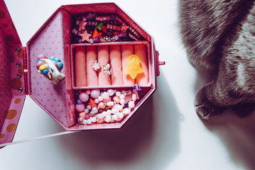 Scottish cat and jewelry box