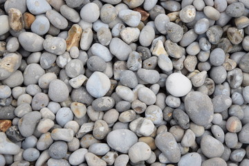 Kiesel an einem Strand