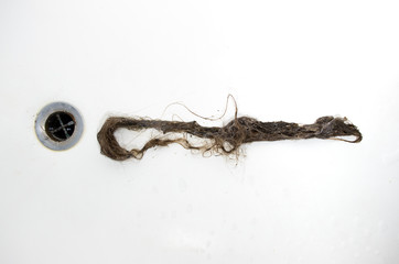 Very long clump of human hair removed from clogged up bathtub drain