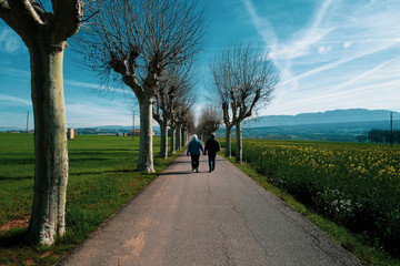 El paseo
