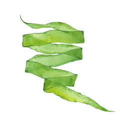 watercolor green seaweed © dvoriankin