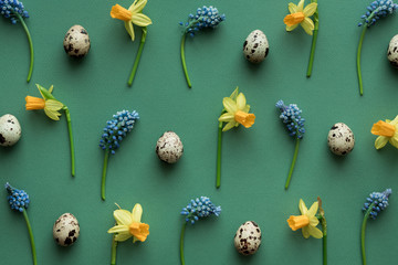 Easter Background With Eggs And Flowers
