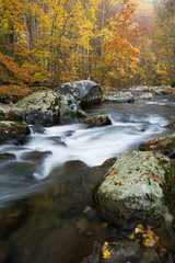 The Middle Prong of the Little River flows through a pristine autumn landscape in Great Smoky Mountains National Park, Tennessee, USA.