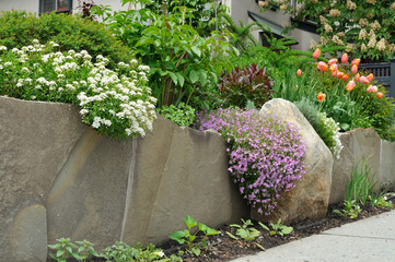 Detail of natural stone wall, retaining garden with tulips and flox.