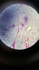 abstract background © Giorgia