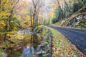 Fototapeta na wymiar The Little River Road follows the course of the Little River through the Appalachian Mountain terrain of Great Smoky Mountains National Park in Tennessee.