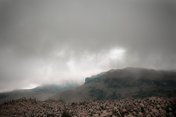 montañas del paramo