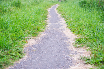 Fototapeta na wymiar Gravel Rural path and green grass