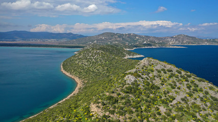 Aerial photo from Kinosoura peninsula, natural Park and wetland of Shinias bay with rare Pine trees...