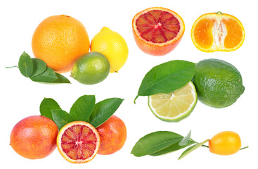 Set of different citrus fruits with green leaves isolated on white background