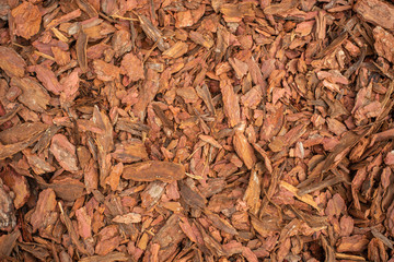 Brown tree crust texture