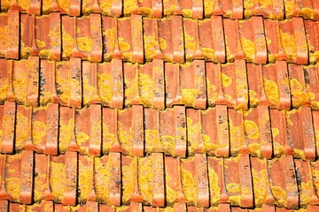 Pattern of red tiled roof in Lisbon