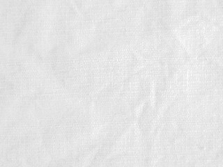 Abstract Curves Lines white and gray gradient color background.