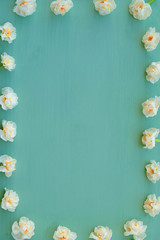 Frame made of beautiful fresh white daffodil flowers in bloom on pastel green background.
