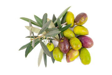 natural olives with olive branch isolated on white