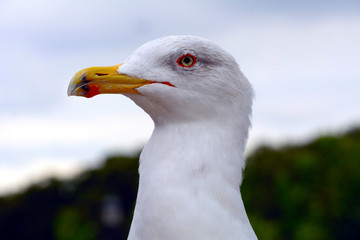 mi metto un pò in posa
