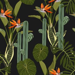 Fototapety  Rośliny tropikalnej dżungli, Sansevieria, kaktusy, egzotyczne liście i kwiaty strelicji na czarnym tle. Wzór plaży.