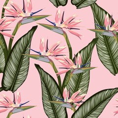 Bird of paradise tropical pink flower seamless pattern. Jungle exotic plant for fabric design. South African blossom flower, strelitzia. Floral wallpaper. Pink backdrop.