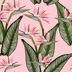 Fotobehang Tropische bloemen Paradijsvogel tropisch roze bloemen naadloos patroon. Jungle exotische plant voor stofontwerp. Zuid-Afrikaanse bloesembloem, strelitzia. Bloemen behang. Roze achtergrond.
